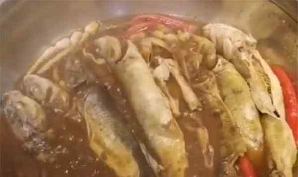 花鳗鲡 男子晒吃湟鱼被罚 那些属于保护动物小心犯错