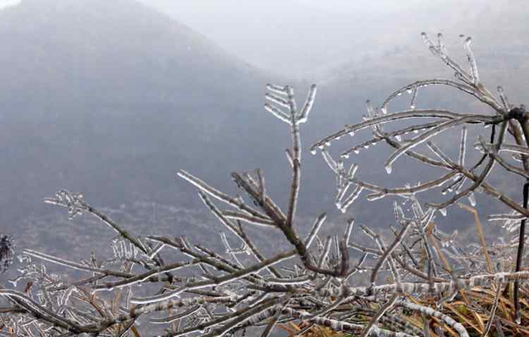 超级寒潮 2016年超级寒潮带来的第一场雪