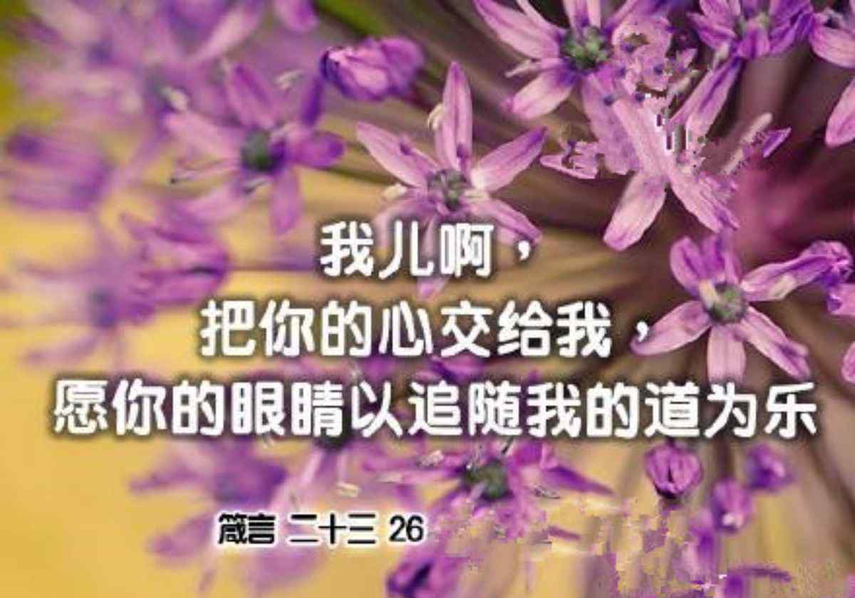 青年团契 青年团契20171111聚会程序