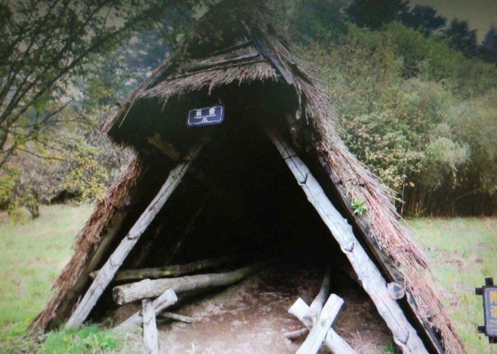 野人之谜 神农架野人之谜