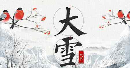 小蘑菇 中班阅读小蘑菇教案