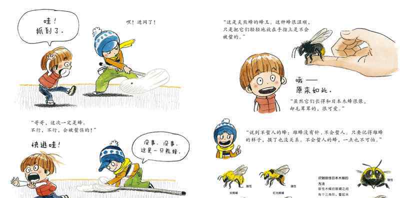 冬天里的秘密 冬天里去捉虫绘本