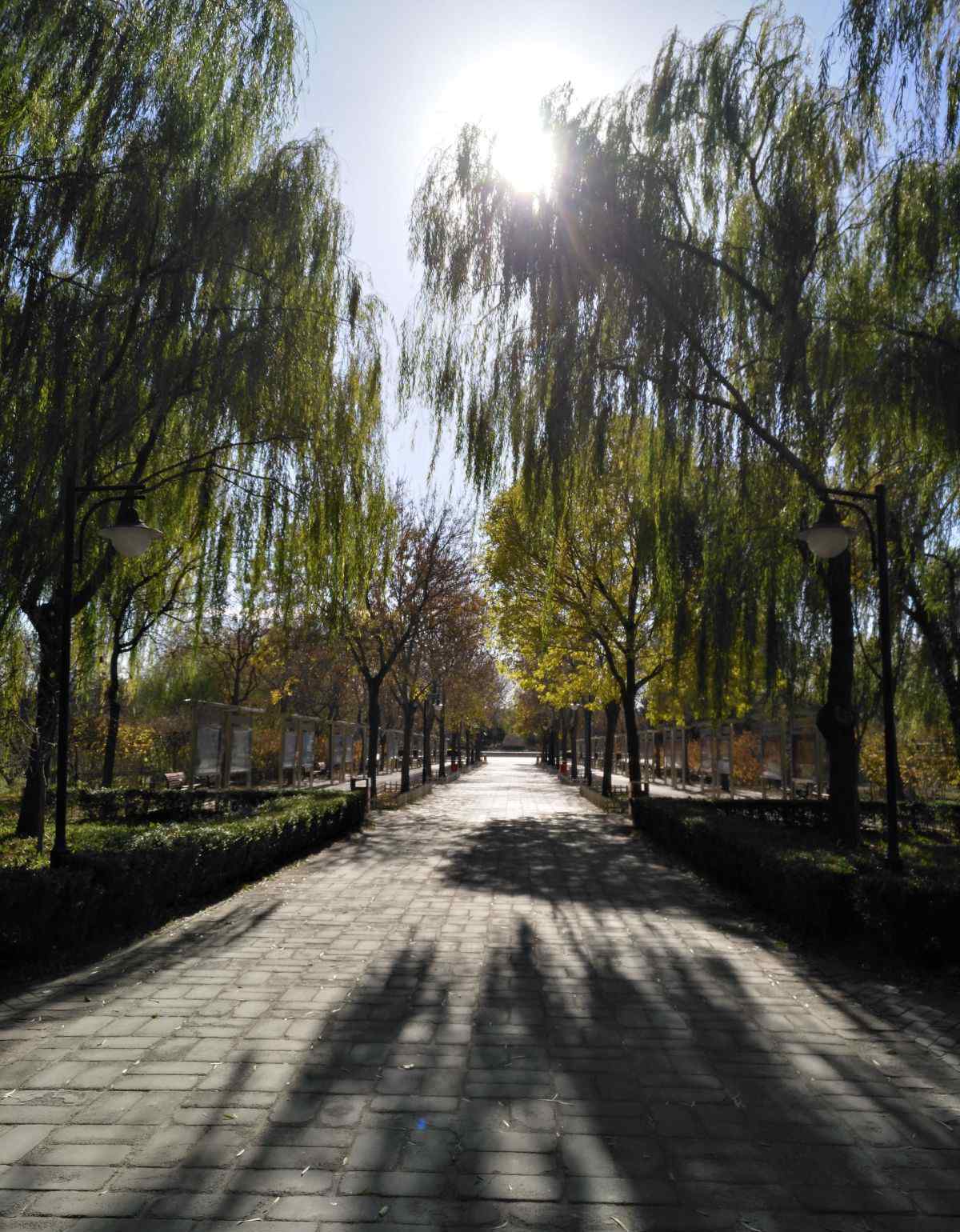 东坝郊野公园 休闲散步好去处——北京东坝郊野公园