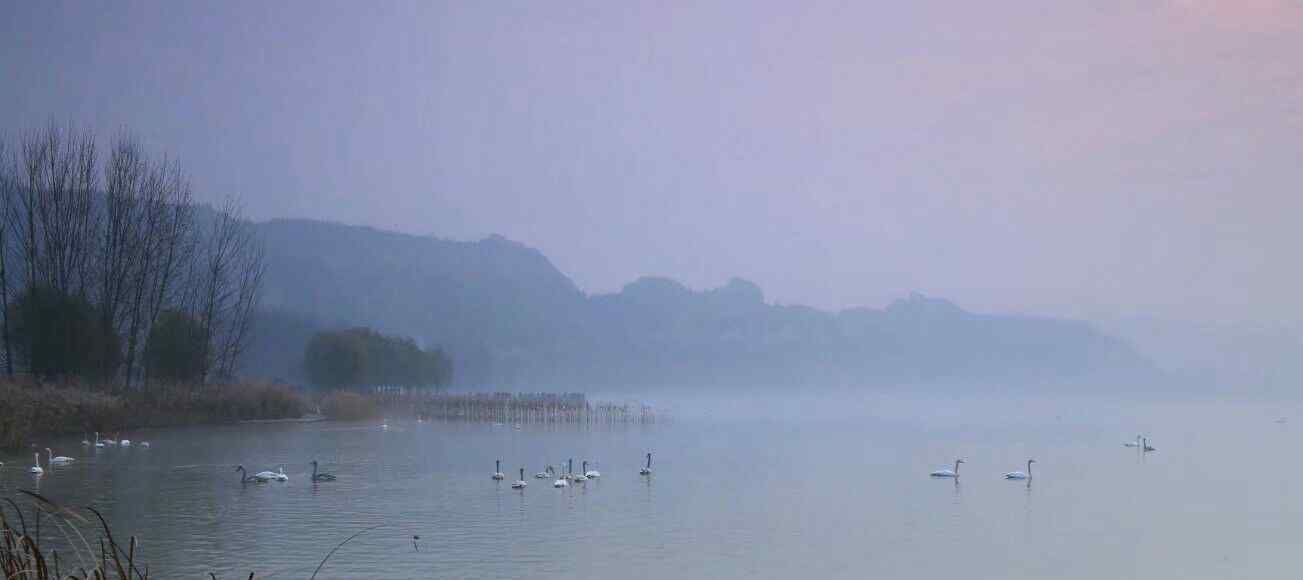 山西平陆县 山西平陆天鹅湖景区