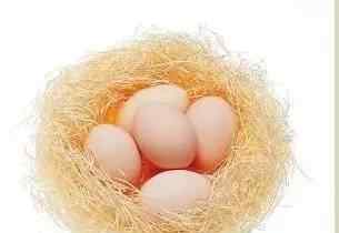 笨鸡蛋和一般生鸡蛋有什么不同?