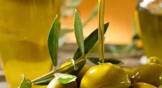 特等初榨橄榄油有哪些不一样?
