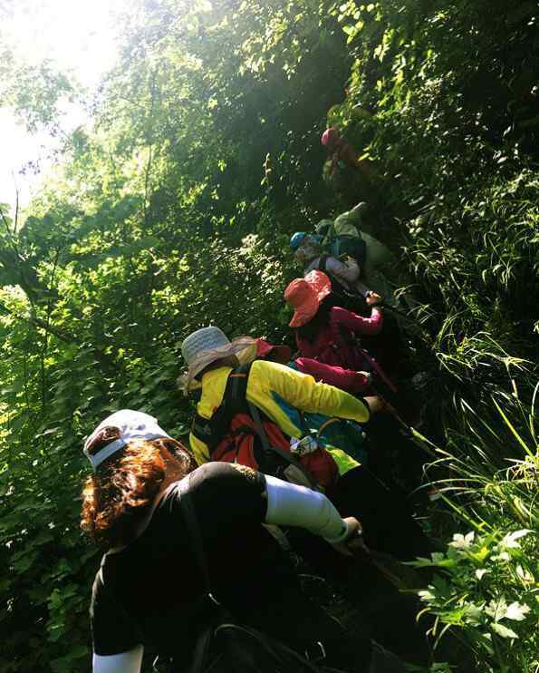 滴水洞别墅 登韶山龙头山虎歇坪游滴水洞