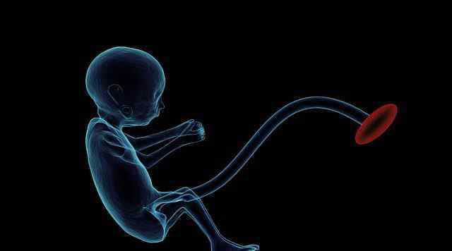 超出怀孕42周得话,胎盘功能刚开始衰落,胎宝宝需要的营养物质