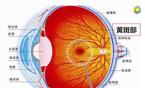 黄斑性眼病的征兆有什么?