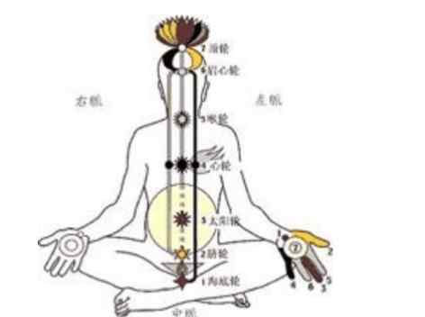 能量场 自然界能量场—人体自身能量场