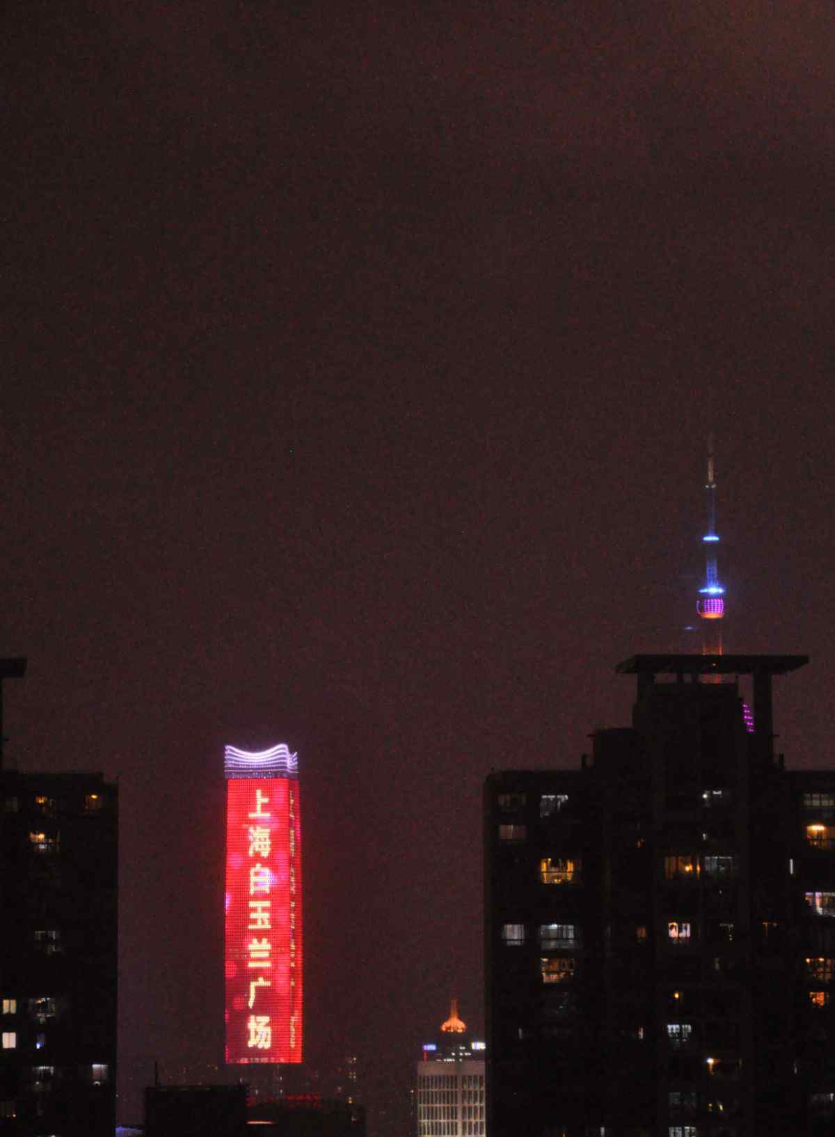上海白玉兰广场 上海白玉兰广场灯光秀