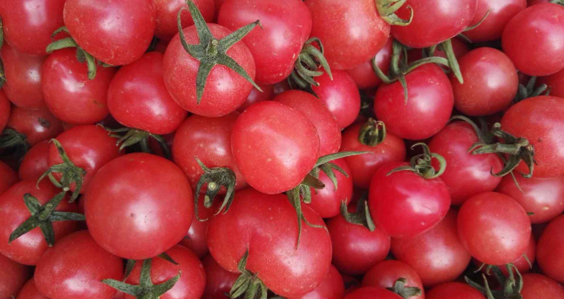 小西红柿是转基因的吗 樱桃小番茄是转基因吗？致癌吗？