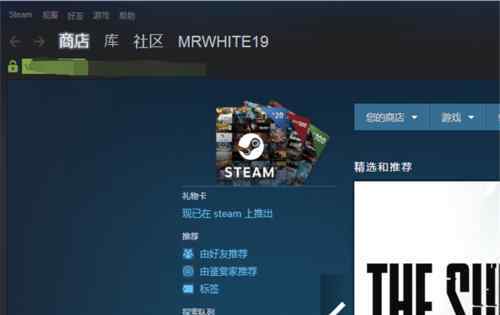 steam个人资料打不开 steam个人资料打不开【应对模式】