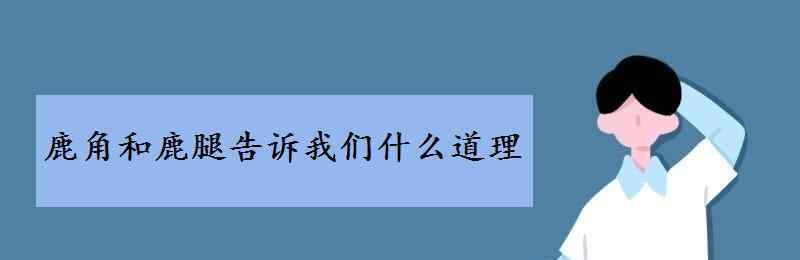 鹿腿和鹿角 鹿角和鹿腿告诉我们什么道理