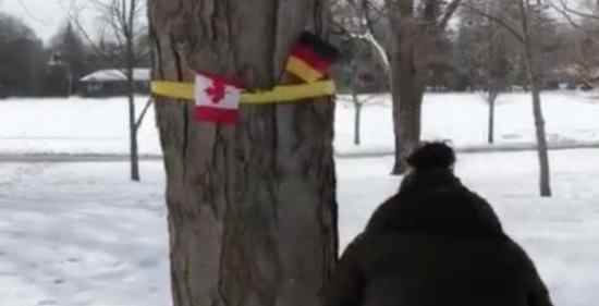 德国的国旗 糗大了！加拿大挂德国国旗“迎接”比利时国王夫妇