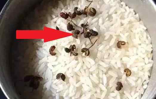 稻米生虫怎么办?如何避免大米发霉呢?