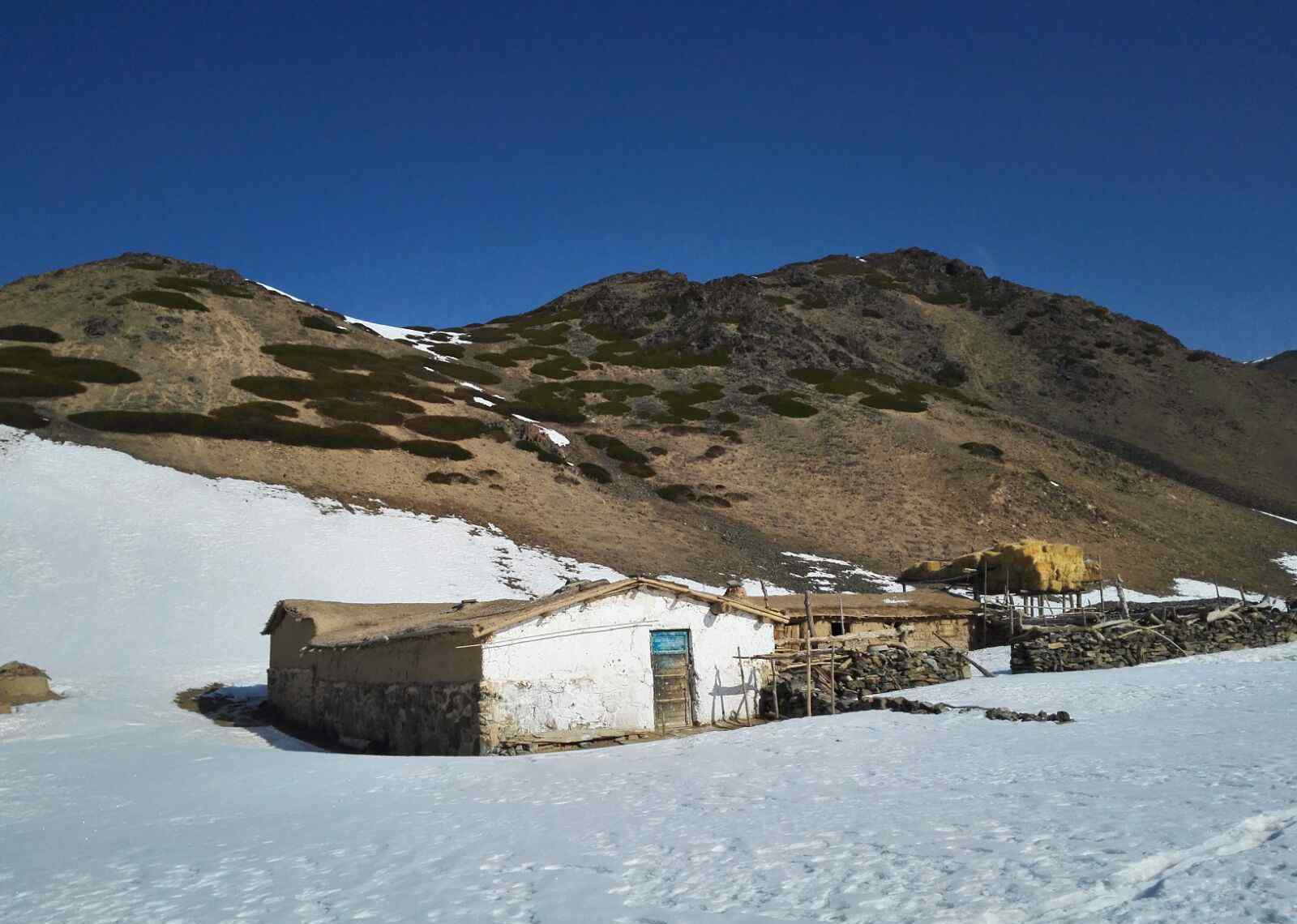 牧羊人家 翻山踏雪走访忙 吃苦耐劳八必讲