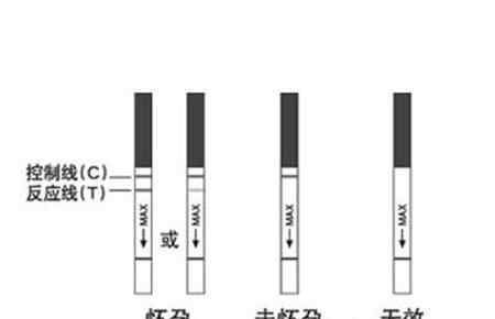 验孕试纸一深一浅图