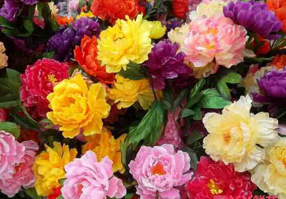 牡丹花品种 牡丹花的各大色系与八大名贵品种