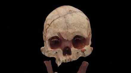 额骨是哪里 16000年前的人头骨化石长什么样，在哪里发现的，人头骨化石有价值吗