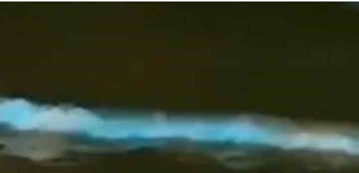秦皇岛荧光海在哪 葫芦岛海边现罕见荧光海，荧光海的成因以及葫芦岛属于哪个海域