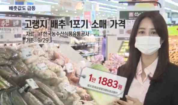韩国白菜 韩国大白菜涨价至62元一颗，韩国蔬菜水果为什么贵，还能贵多久