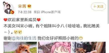 心疼瓢哥 心疼瓢哥 “锅碗盆”相继被领养唯独只剩它无人敢要