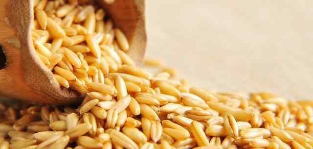 吃燕麦片可以减肥吗 减肥期间吃燕麦米还是燕麦片？ 天天吃燕麦的你真的吃对了吗
