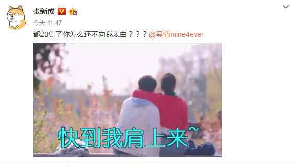 张新成女朋友 张新成现任女友，为什么还不向自己告白?