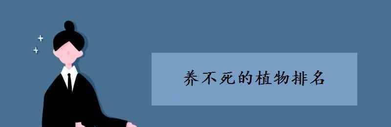 养不死的植物排名 养不死的植物排名 排名第一竟然是它