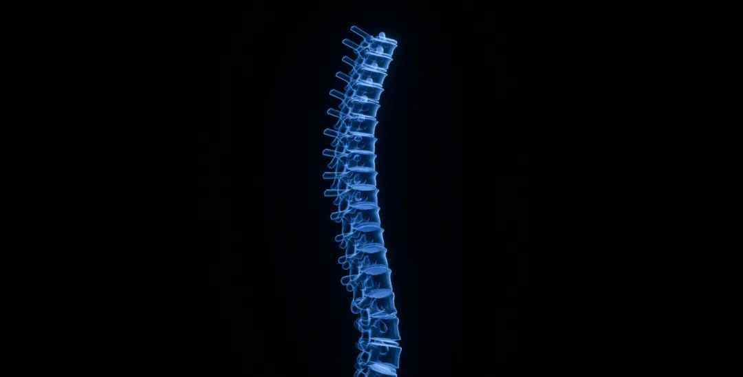 周杰伦强直性脊柱炎 压弯周董脊梁的恶魔——强直性脊柱炎