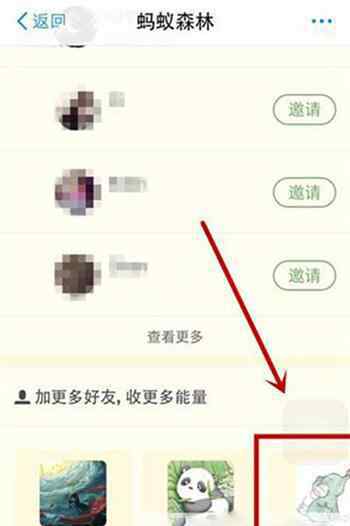 支付宝怎么加好友 支付宝蚂蚁森林怎么添加好友？