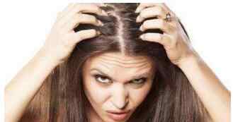 头发油用什么洗发水 头发油用什么洗发水 哪些洗发水能去头油