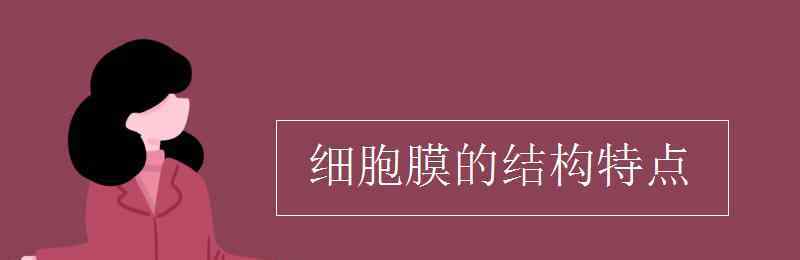 细胞膜的结构特点 细胞膜的结构特点