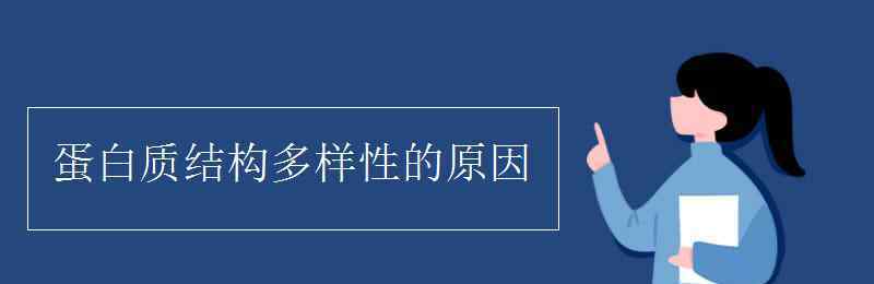 蛋白质结构多样性的原因 蛋白质结构多样性的原因