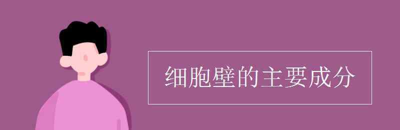 细胞壁的主要成分 细胞壁的主要成分