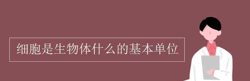 组成生物体的基本单位 细胞是生物体什么的基本单位