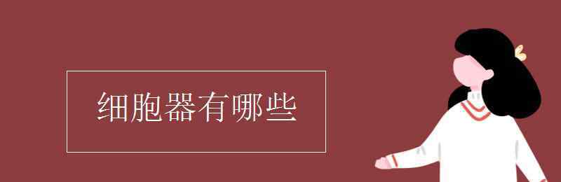 细胞器有哪些 细胞器有哪些