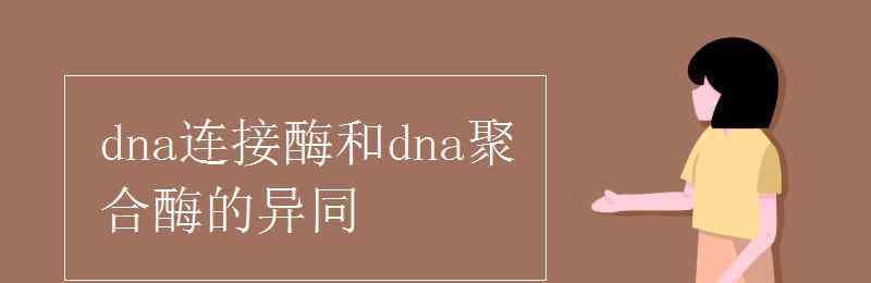 dna连接酶和dna聚合酶的异同 dna连接酶和dna聚合酶的异同
