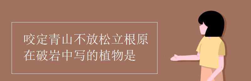 咬定青山不放松立根原在破岩中的意思 咬定青山不放松立根原在破岩中写的植物是