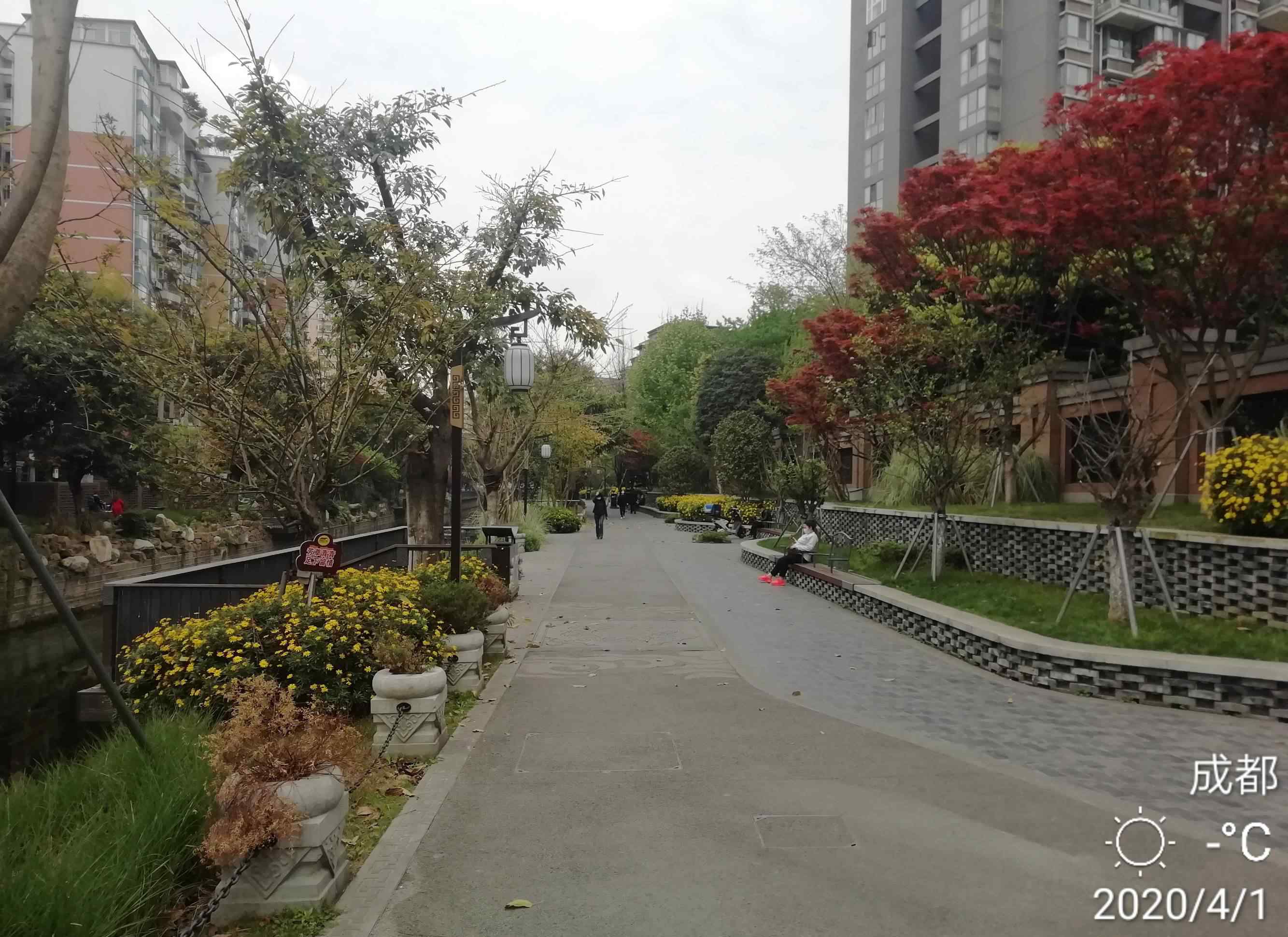 枣子巷 四川成都市枣子巷