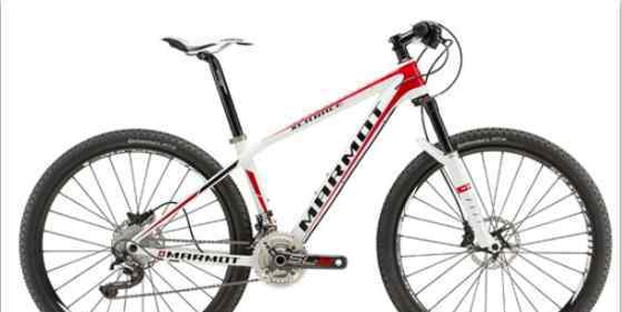 高档自行车品牌 高档自行车品牌都有哪些，高档自行车的介绍
