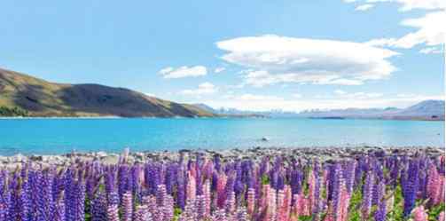 新西兰旅游最佳时间 新西兰最佳旅游时间是什么时候，与我国的汇率比如何？
