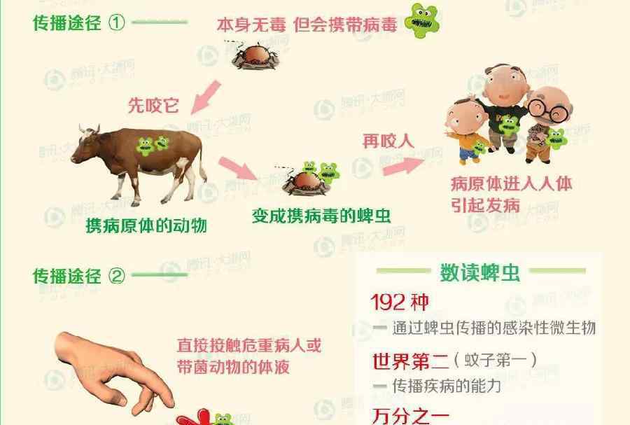 软蜱 济南监测发现“夺命虫”蜱虫高发，曾有人被咬后身亡