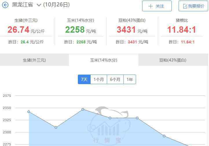 玉米亩产量一般多少斤 东北玉米最新价格多少，东北玉米产量每亩多少斤