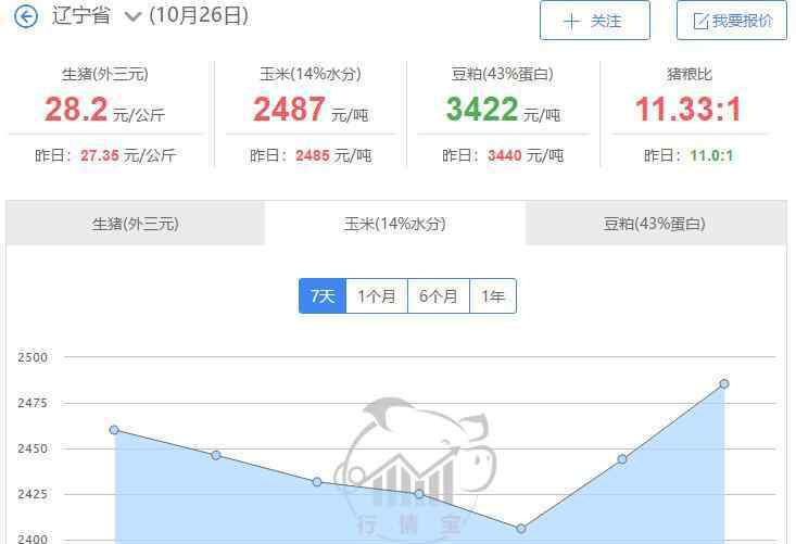 玉米亩产量一般多少斤 东北玉米最新价格多少，东北玉米产量每亩多少斤