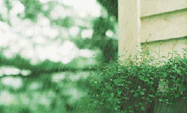 福建暴雨 紧急提醒！暴雨！大暴雨！福建的雨天一直持续到……