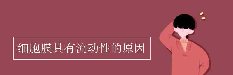 磷脂双分子层亲水疏水 细胞膜具有流动性的原因