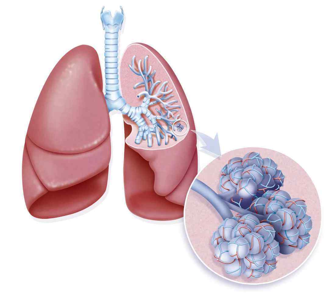 肺脏有小结节如何治疗