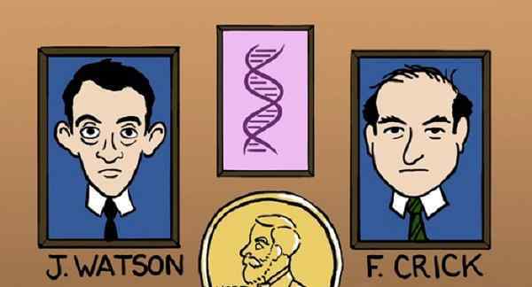 牛津大学卡文迪许试验室造成了29位诺贝尔奖得奖者,珀特和克里